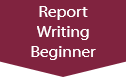 JD Edwards Beginner Report Writing