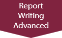 JD Edwards Advanced Report Writing 