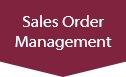 JD Edwards Sales Order